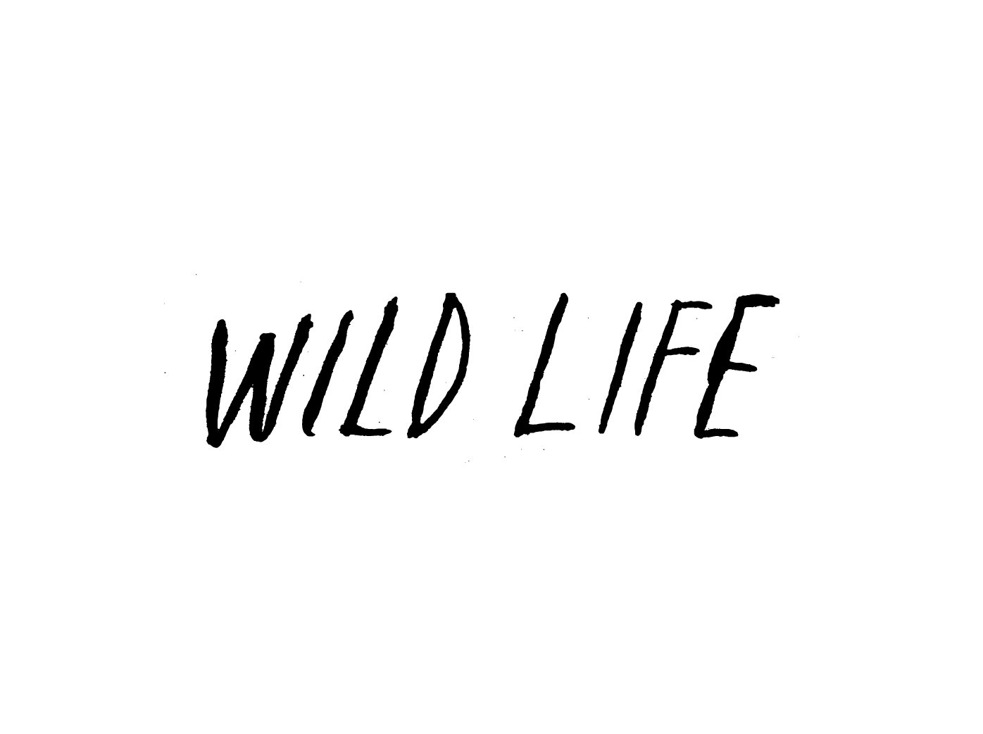 AJB-logos_wild-life-02