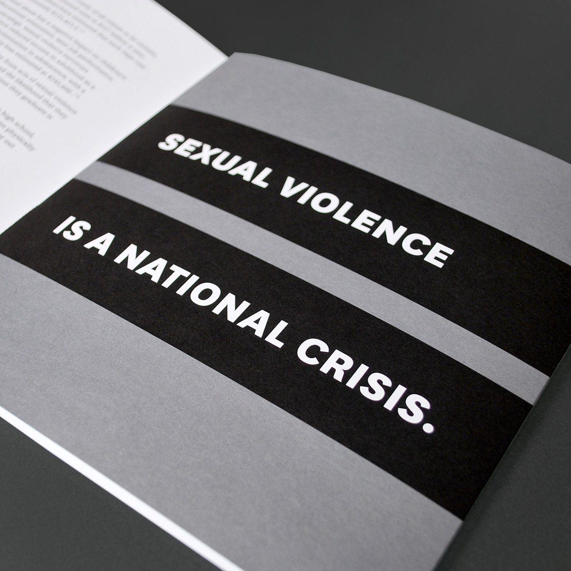 NAESV_brochure_1170px_03b